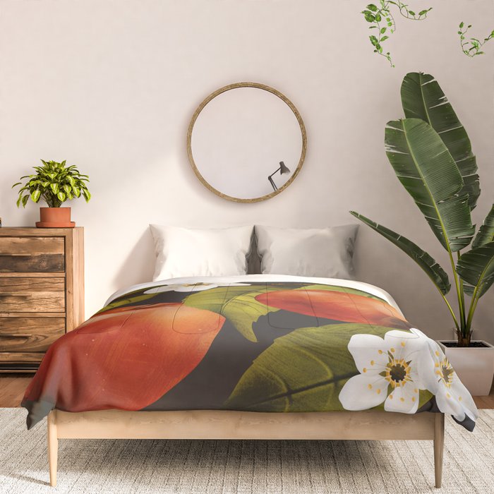 Apples Botanical Art 1 Comforter Gallery Image 3