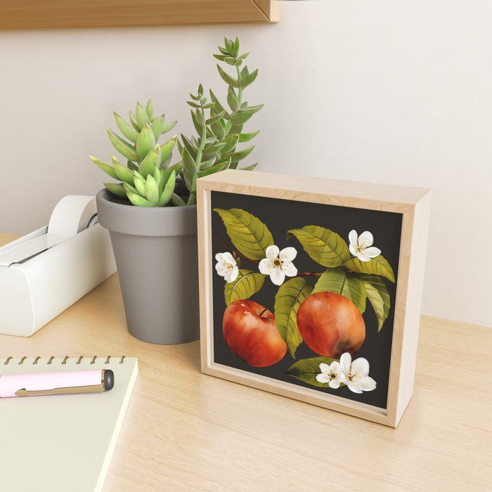 Apples Botanical Art 1 Mini Art Print Gallery Image 2