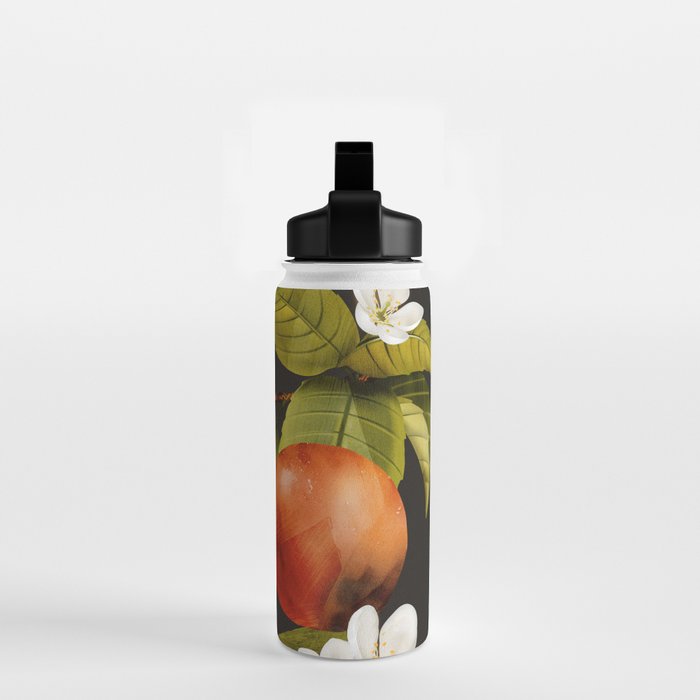 Apples Botanical Art 1 Water Bottle Gallery Image 2