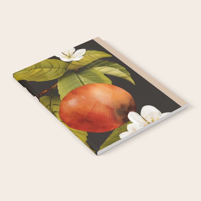 Apples Botanical Art 1 Notebook Gallery Image 2