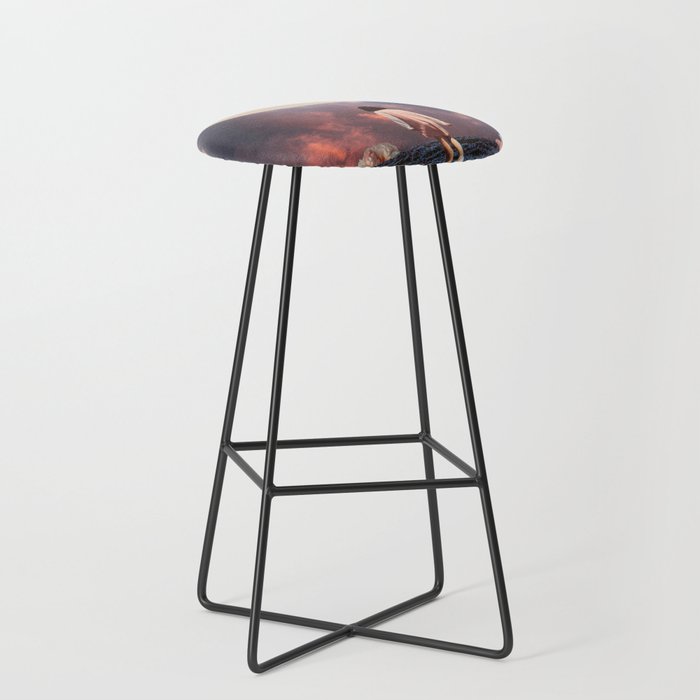 Pearlescent Wanderer Stool Gallery Image 1