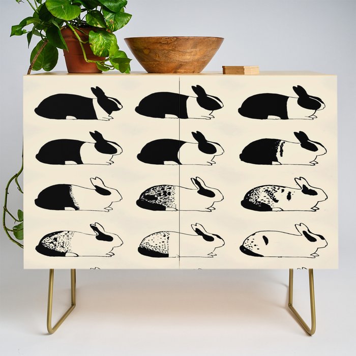 Studies of heredity in rabbits- William E.Castle - 1919 Cute Bunny Pattern Credenza Gallery Image 1