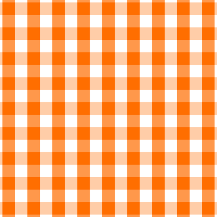 Classic Pumpkin Orange and White Gingham Check Pattern Coffee Mug Gallery Image 2