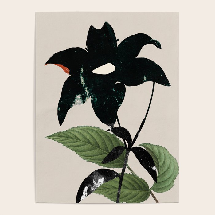 minimal collage/ Flower  Poster Gallery Image 4