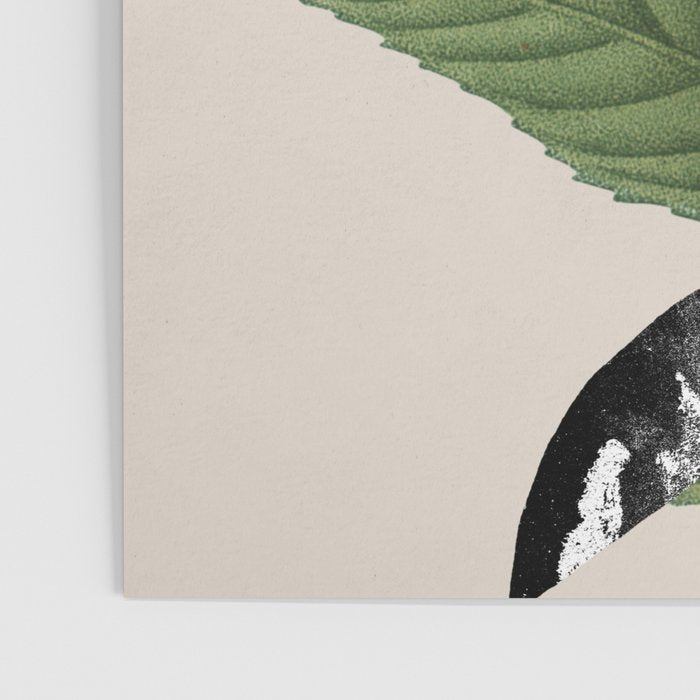 minimal collage/ Flower  Poster Gallery Image 3