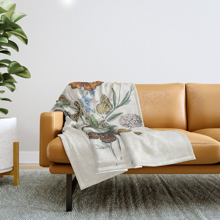 Vintage Scientific Illustration Butterfly Botanical Floral Lithograph Encyclopaedia Diagrams  Throw Blanket Gallery Image 1