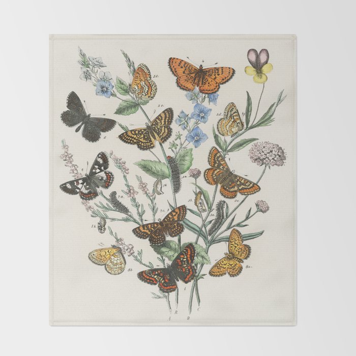 Vintage Scientific Illustration Butterfly Botanical Floral Lithograph Encyclopaedia Diagrams  Throw Blanket Gallery Image 2