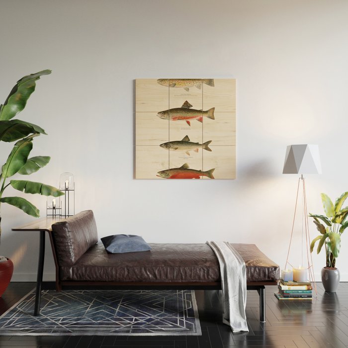 Illustrated North American Freshwater Trout Game Fish Identification Chart Wood Wall Art Gallery Image 2