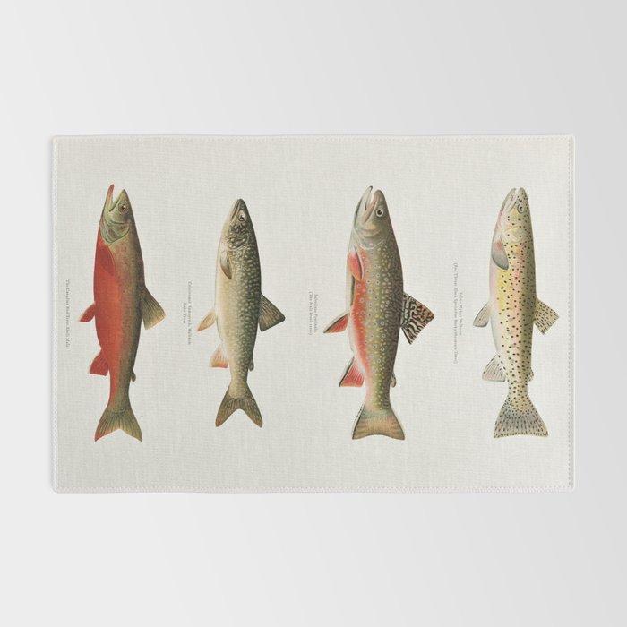 Illustrated North American Freshwater Trout Game Fish Identification Chart Rug Gallery Image 2