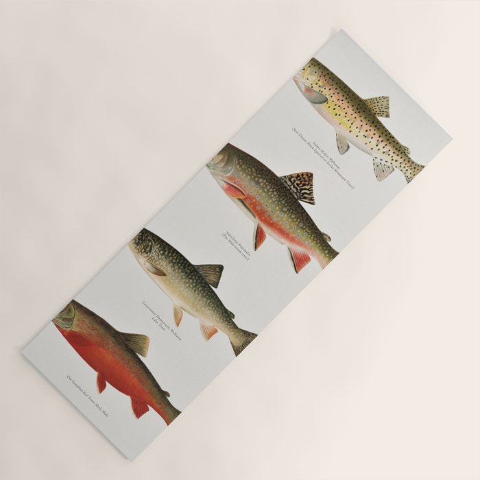Illustrated North American Freshwater Trout Game Fish Identification Chart Yoga Mat Gallery Image 1