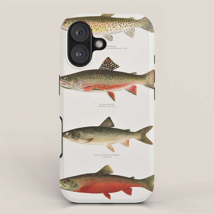 Illustrated North American Freshwater Trout Game Fish Identification Chart iPhone Case Gallery Image 1