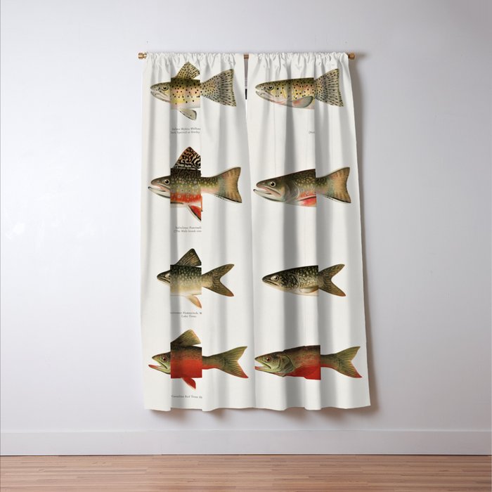 Illustrated North American Freshwater Trout Game Fish Identification Chart Window Curtain Gallery Image 3