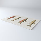 Illustrated North American Freshwater Trout Game Fish Identification Chart Rug Gallery Image 3