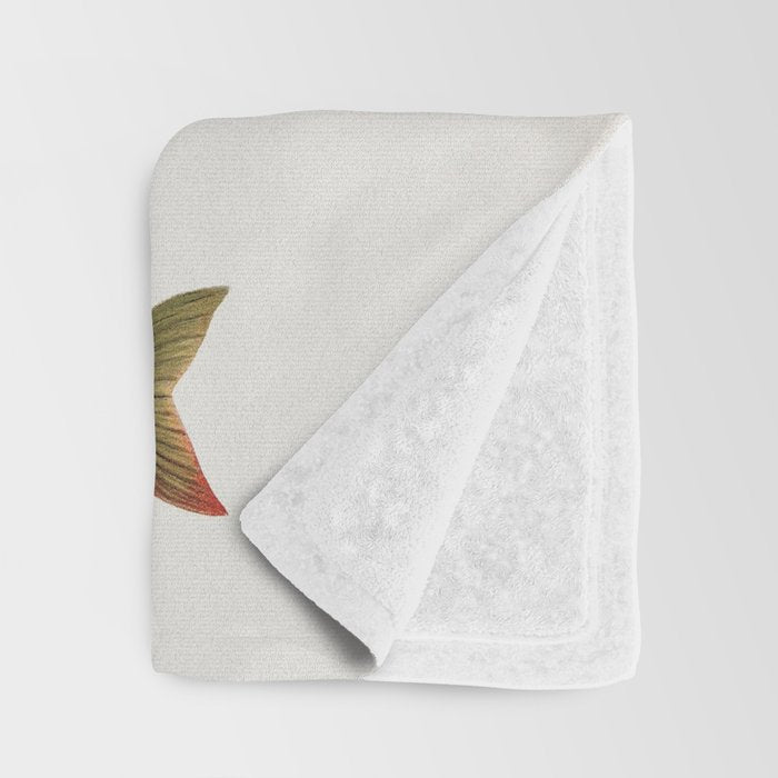 Illustrated North American Freshwater Trout Game Fish Identification Chart Throw Blanket Gallery Image 3