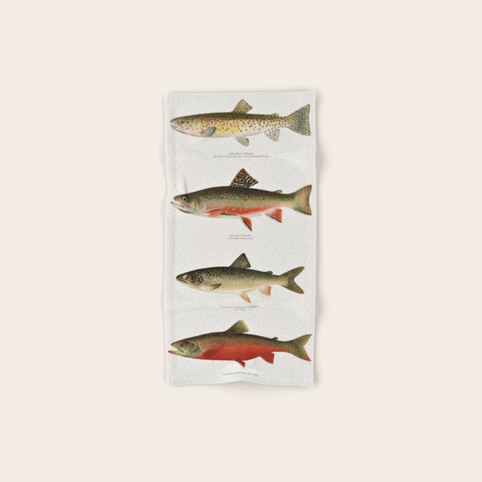 Illustrated North American Freshwater Trout Game Fish Identification Chart Bath Towel Gallery Image 1