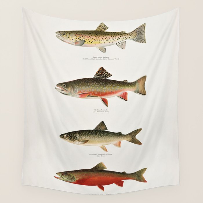 Illustrated North American Freshwater Trout Game Fish Identification Chart Wall Tapestry Gallery Image 1