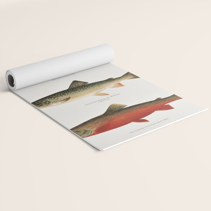 Illustrated North American Freshwater Trout Game Fish Identification Chart Yoga Mat Gallery Image 2