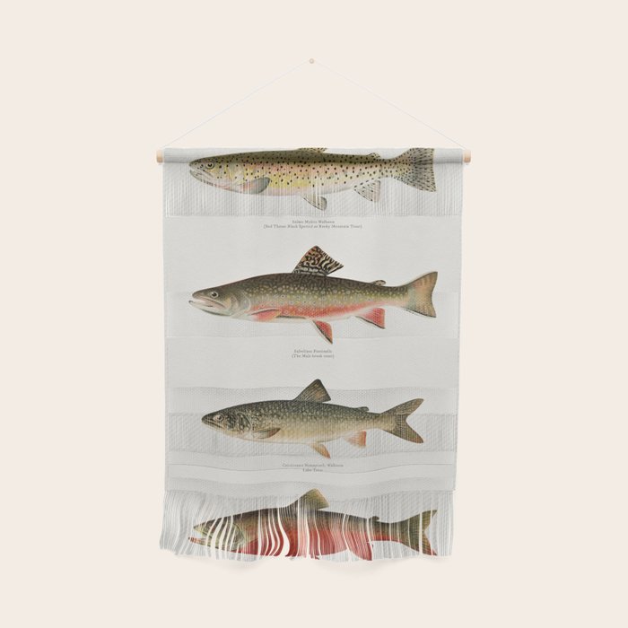 Illustrated North American Freshwater Trout Game Fish Identification Chart Wall Hanging Gallery Image 1