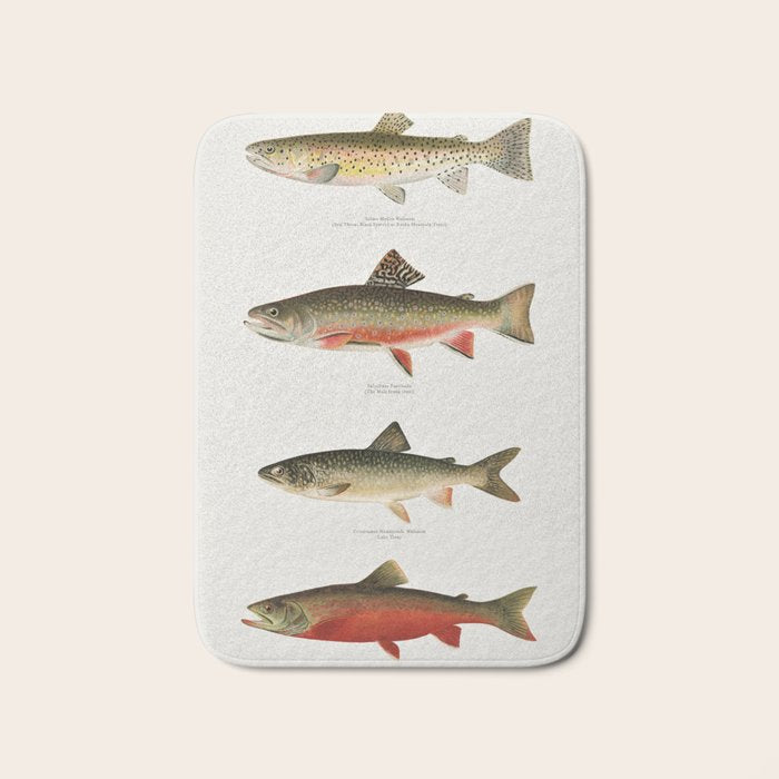Illustrated North American Freshwater Trout Game Fish Identification Chart Bath Mat Gallery Image 1