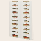 Illustrated North American Freshwater Trout Game Fish Identification Chart Wallpaper Gallery Image 2