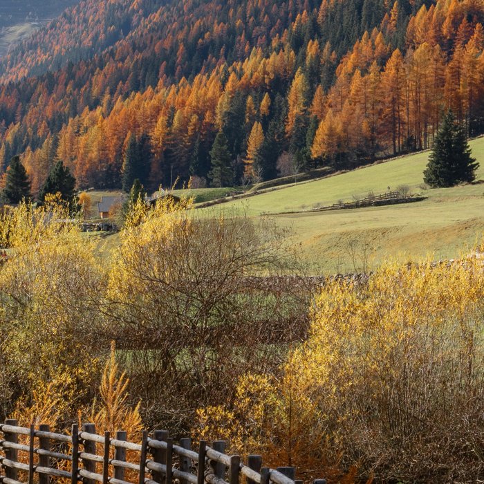 Italian Dolomites in Autumn Travel Photography Coffee Mug Gallery Image 2