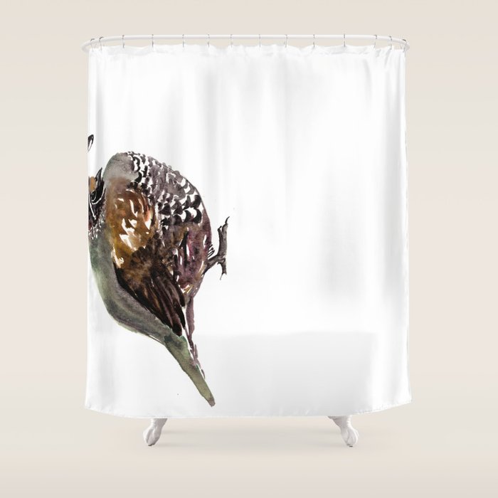 California Quail Shower Curtain Gallery Image 1