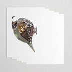 California Quail Wrapping Paper Gallery Image 3
