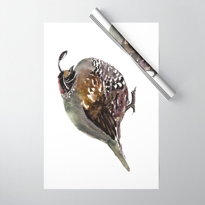 California Quail Wrapping Paper Gallery Image 1