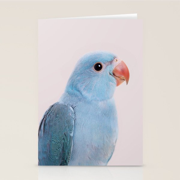Blue Parrot Stationery Card Gallery Image 2
