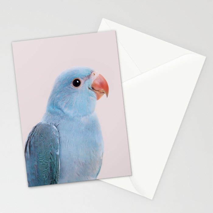 Blue Parrot Stationery Card Gallery Image 2