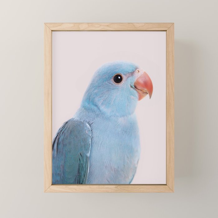 Blue Parrot Mini Art Print Gallery Image 1