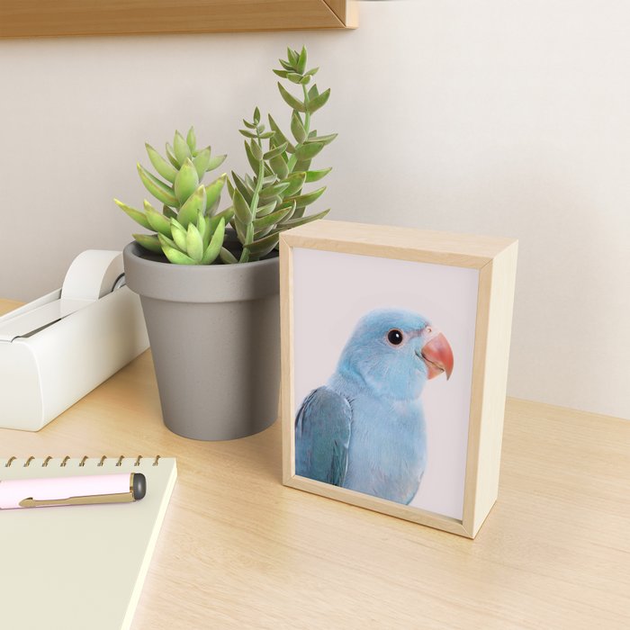 Blue Parrot Mini Art Print Gallery Image 2