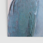 Blue Parrot Poster Gallery Image 3