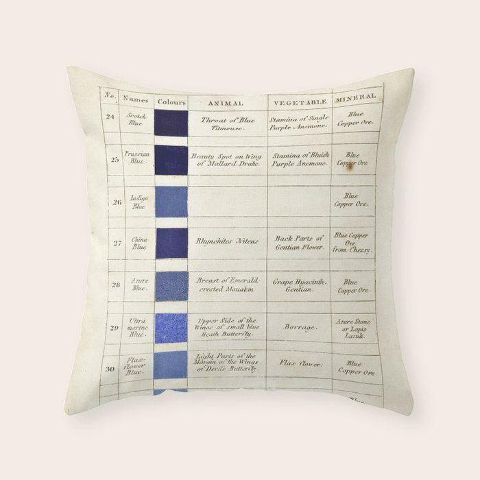 Blues by Patrick Syme from "Wernerâs Nomenclature of Colours" (1821) Throw Pillow Gallery Image 1
