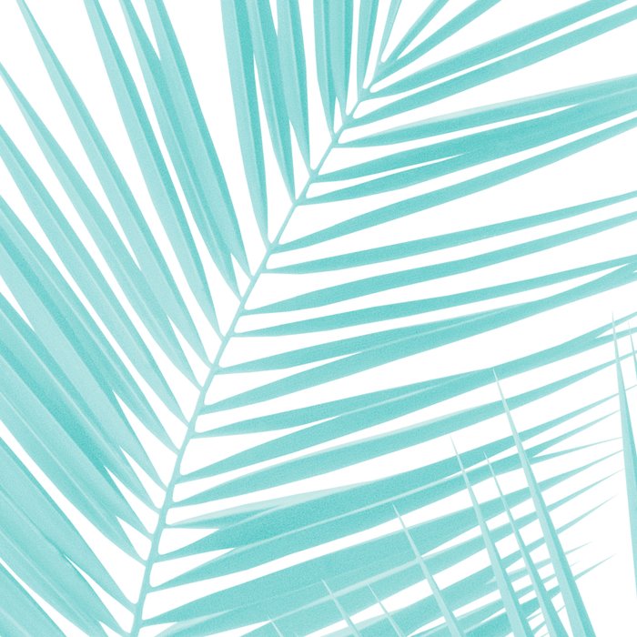 Soft Turquoise Palm Leaves Dream - Cali Summer Vibes #1 #tropical #decor #art #society6 Coffee Mug Gallery Image 2
