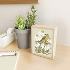 Yellow Wagtail on White Coneflowers  Mini Art Print Gallery Image 2