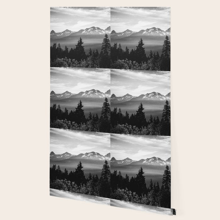 Morning in the Mountains Black and White Wallpaper Gallery Image 2