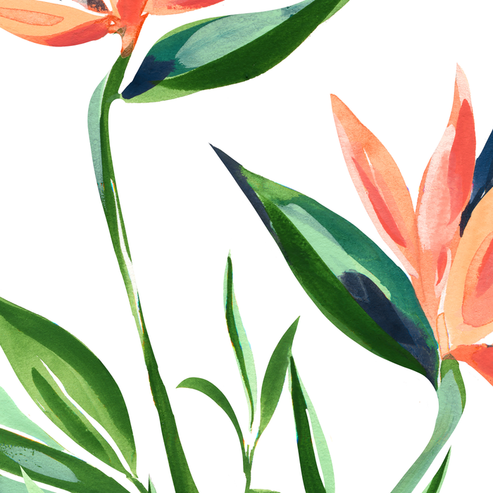 Bird of Paradise Coffee Mug Gallery Image 2