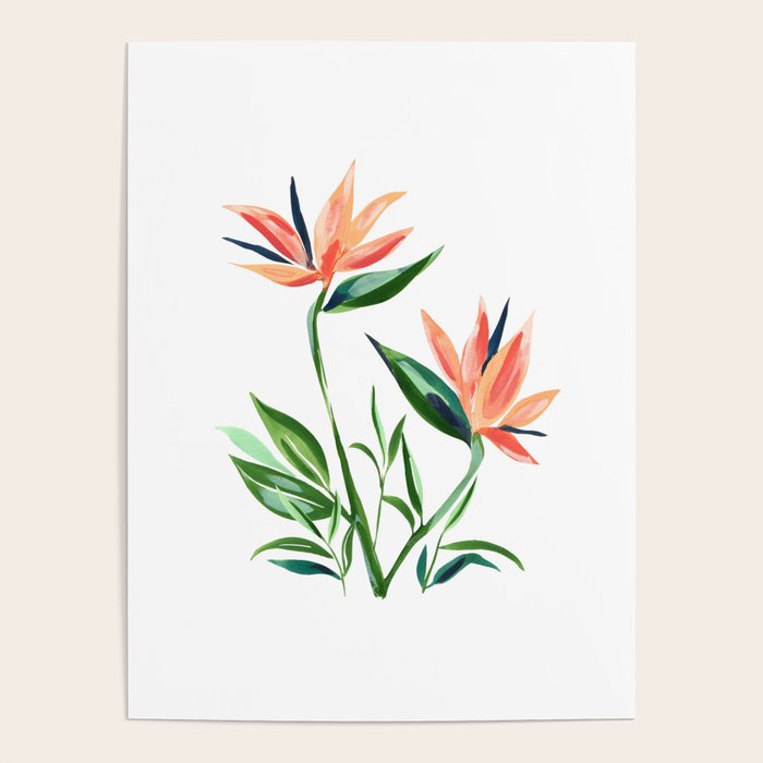 Bird of Paradise Poster Gallery Image 4