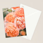 Coral Roses | Ostuni botanical garden photography | Puglia Italy Stationery Card Gallery Image 2