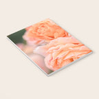 Coral Roses | Ostuni botanical garden photography | Puglia Italy Notebook Gallery Image 3