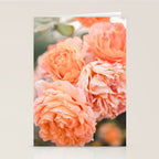 Coral Roses | Ostuni botanical garden photography | Puglia Italy Stationery Card Gallery Image 2