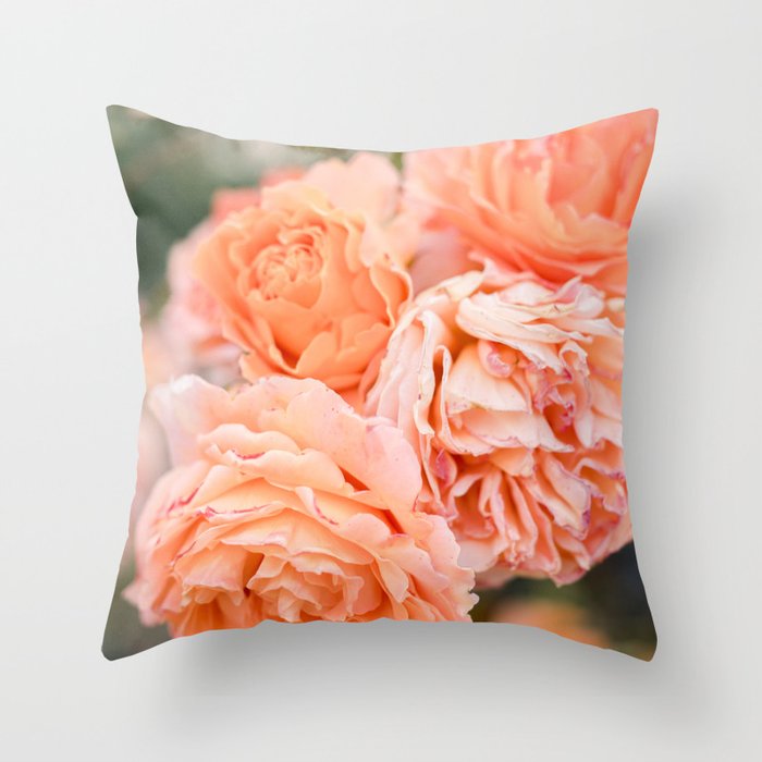 Coral Roses | Ostuni botanical garden photography | Puglia Italy Throw Pillow Gallery Image 6