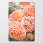 Coral Roses | Ostuni botanical garden photography | Puglia Italy Cutting Board Gallery Image 1