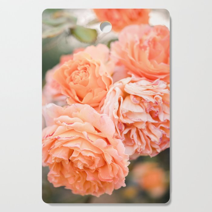 Coral Roses | Ostuni botanical garden photography | Puglia Italy Cutting Board Gallery Image 1