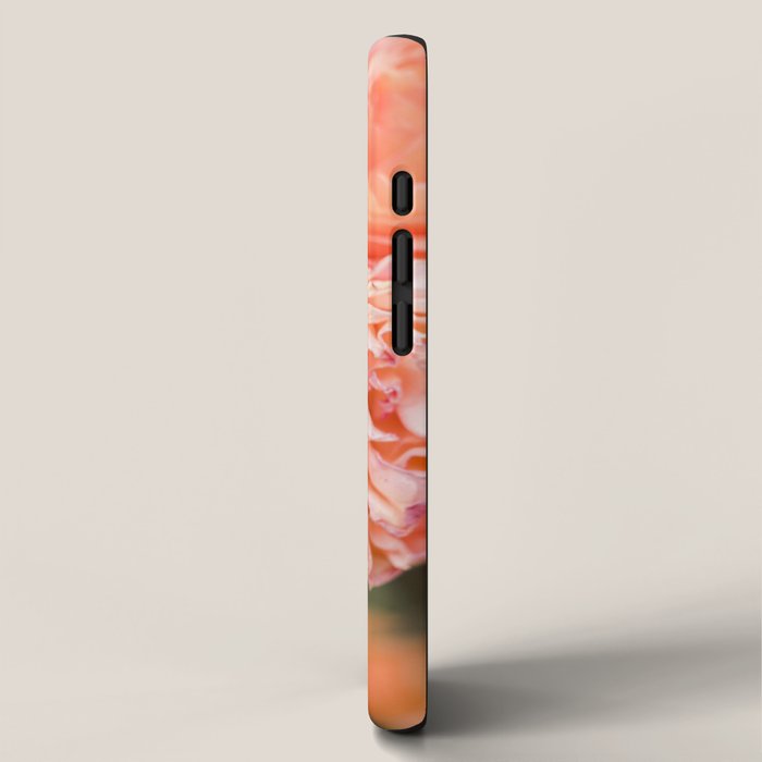 Coral Roses | Ostuni botanical garden photography | Puglia Italy iPhone Case Gallery Image 2