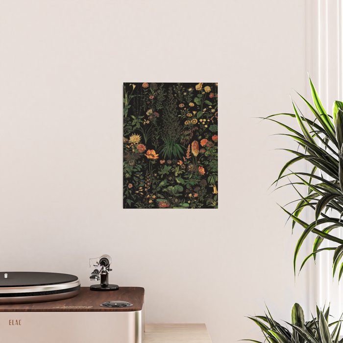 Exotic Midnight Floral Garden Poster Gallery Image 2