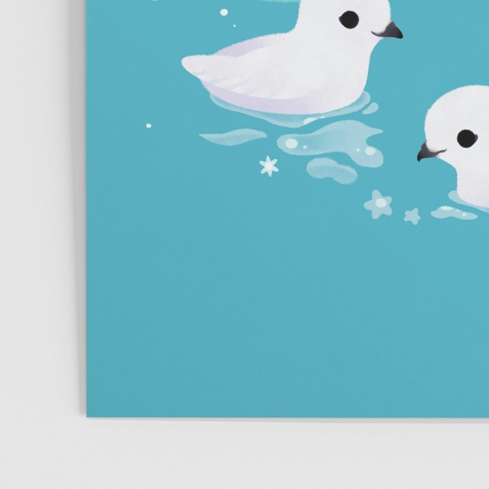 Snow petrel Poster Gallery Image 3