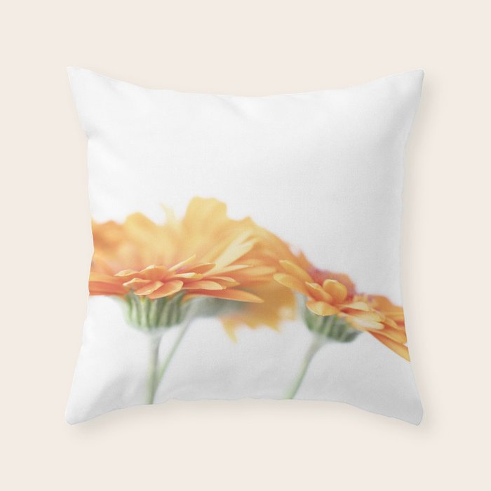 Orange hazy gerbera daisy  Floral spring and summer nature photography  Throw Pillow Gallery Image 1