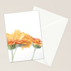 Orange hazy gerbera daisy  Floral spring and summer nature photography  Stationery Card Gallery Image 2